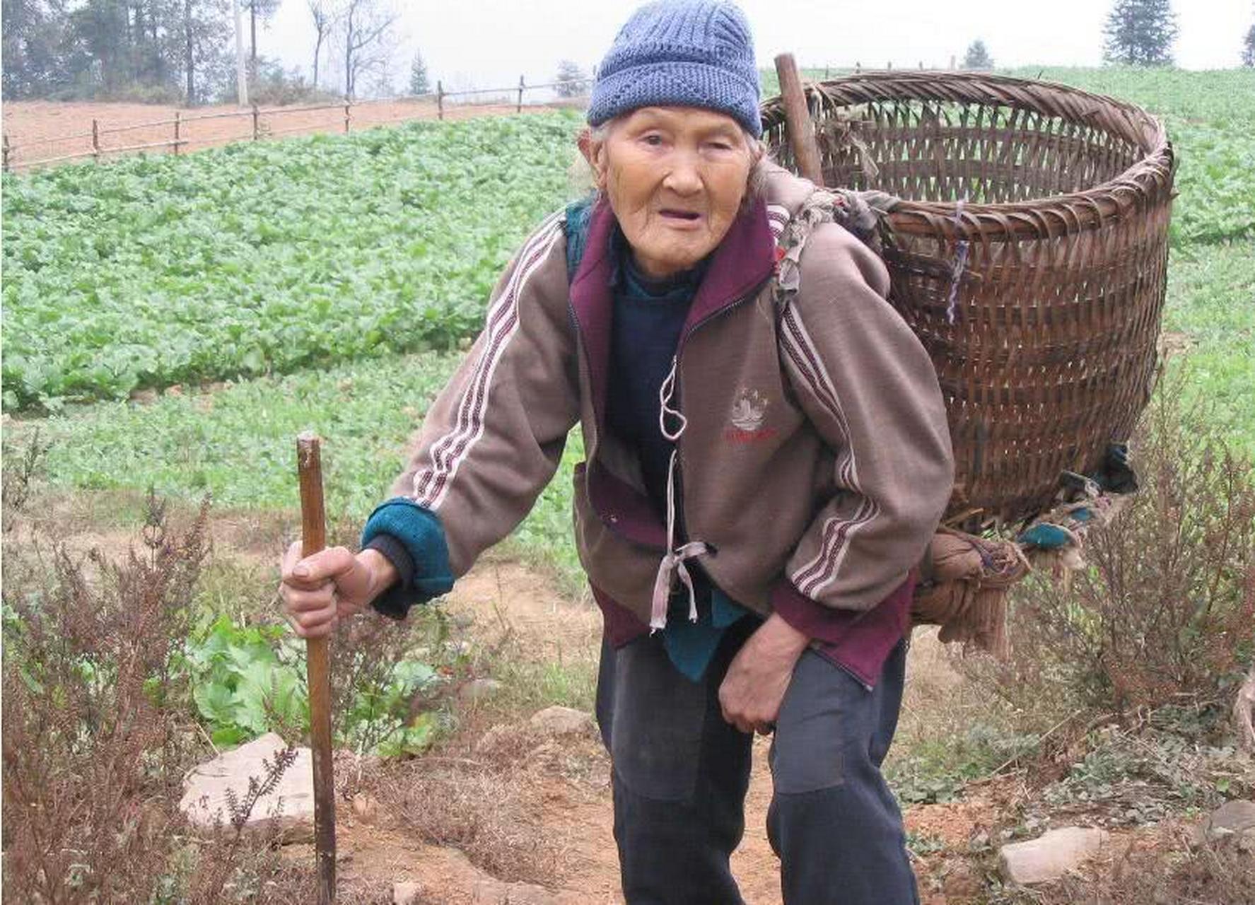 77歲的老太太和一個31歲的精神病兒子生活在一起,娘倆的口糧田被前兒