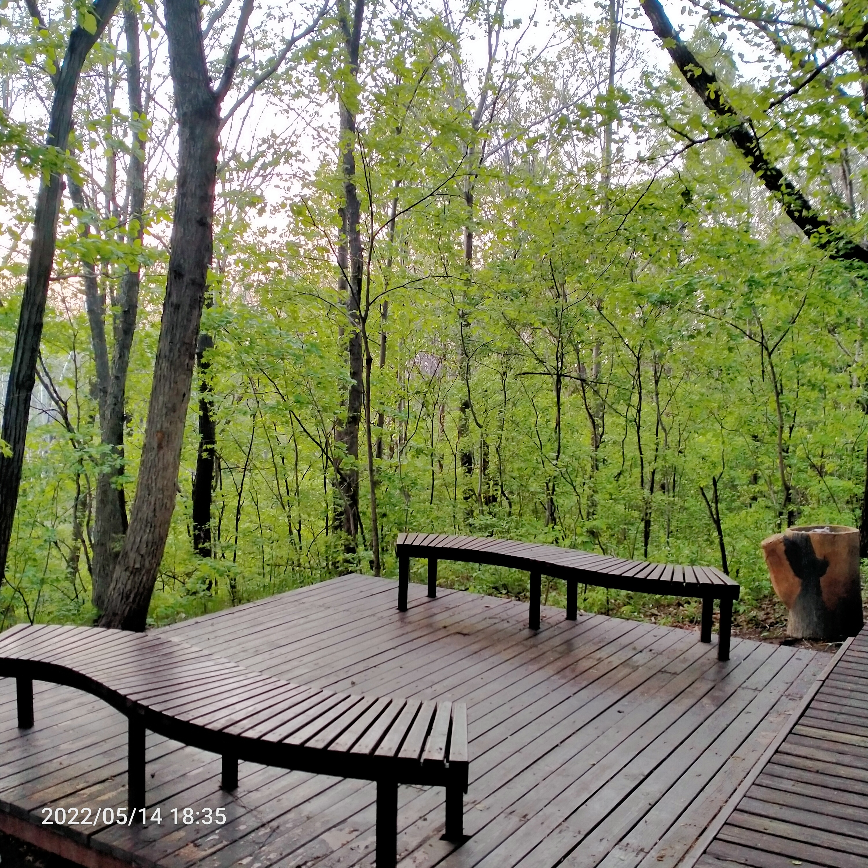 舒兰九龙山森林公园照片