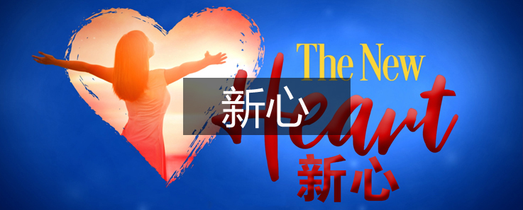 【新心系列】第09集 你们当聚在一处！-CMS测试