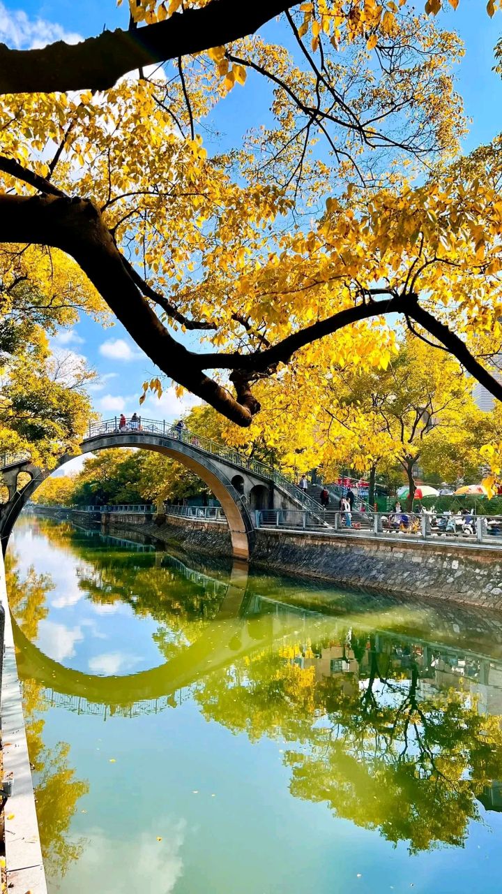 昆明冬天大观河的美景