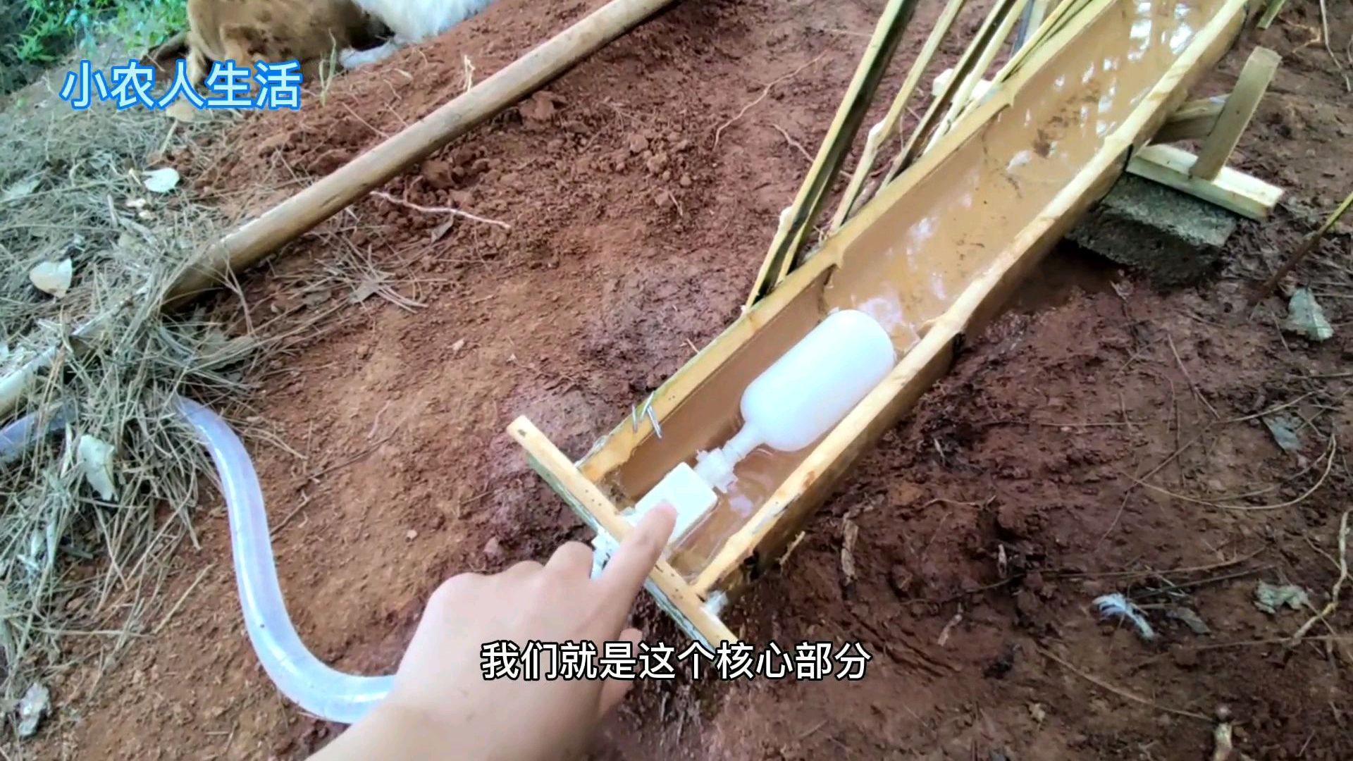 养鸡低成本,小伙自制自动饮水器,成本不到30元既简单又实用