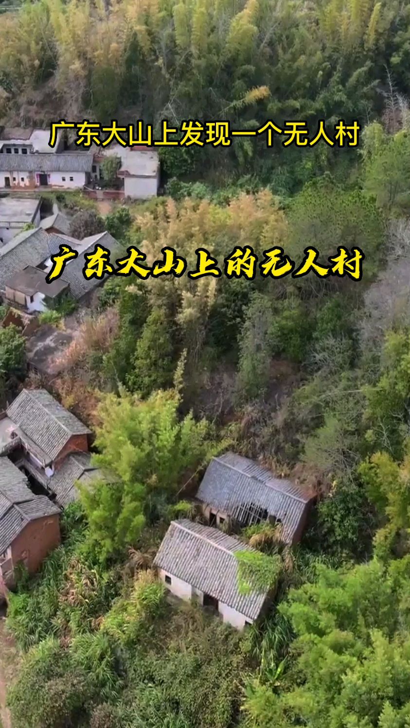广东山上有一个无人村,有的房子还保存完好,有的已经坍塌,究竟发生了