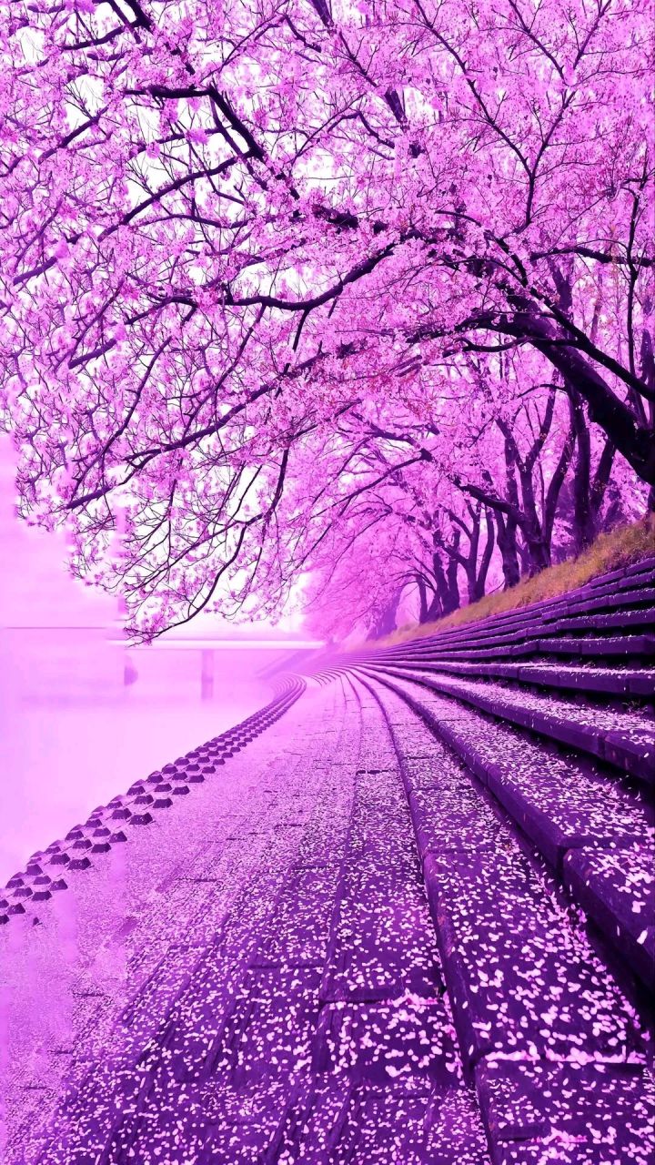 美的不要不要的!