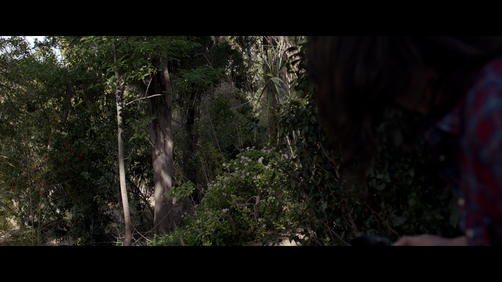 蓝光原盘&REMUX[恶魔录音棚]Studio.666.2022.1080p.BluRay.REMUX.AVC.DTS-HD.MA.7.1-FGT 28.38GB