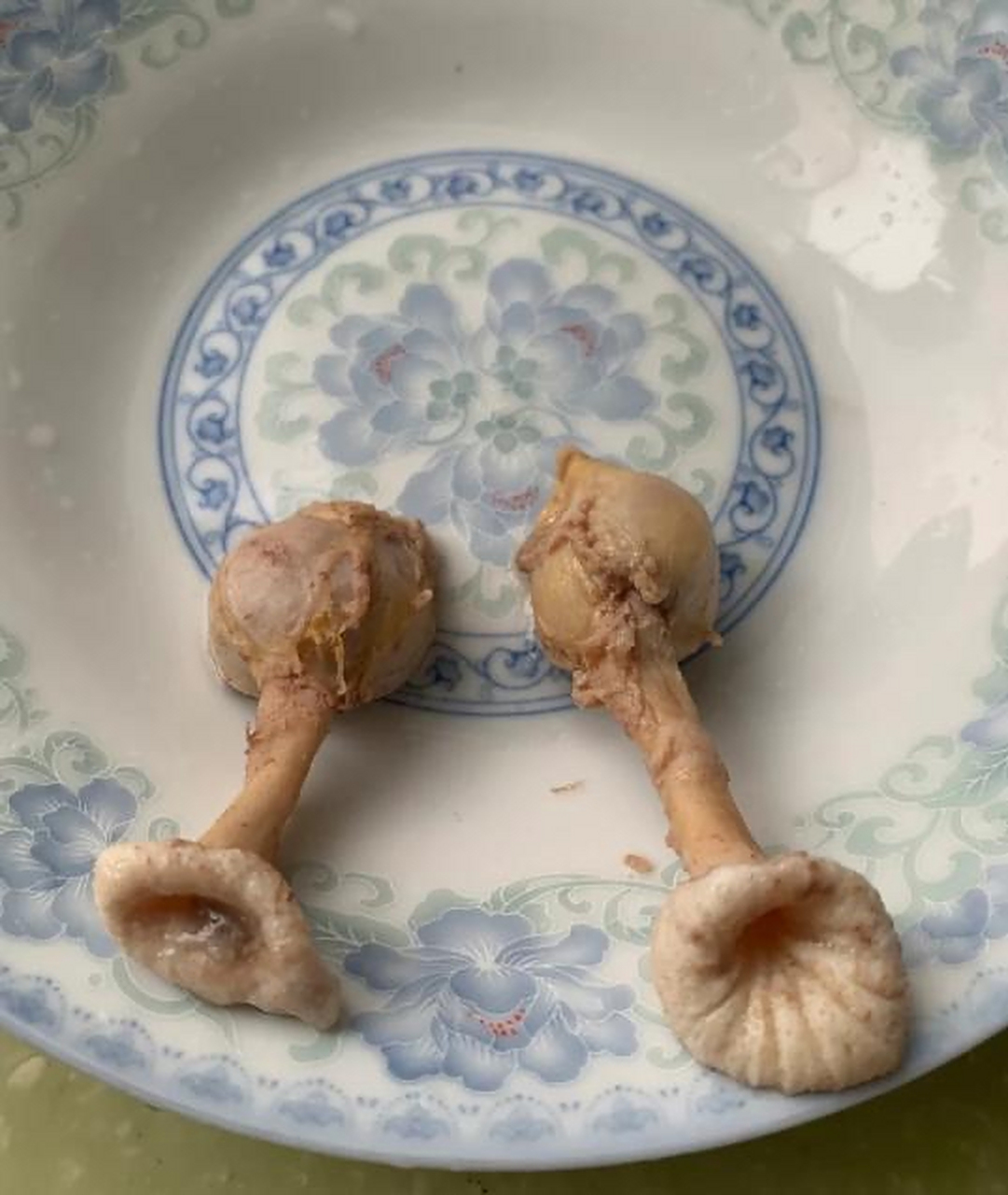 今天厨师做菜,他说这个好吃,这是鸡的那个部位,是鸡的胃吗?