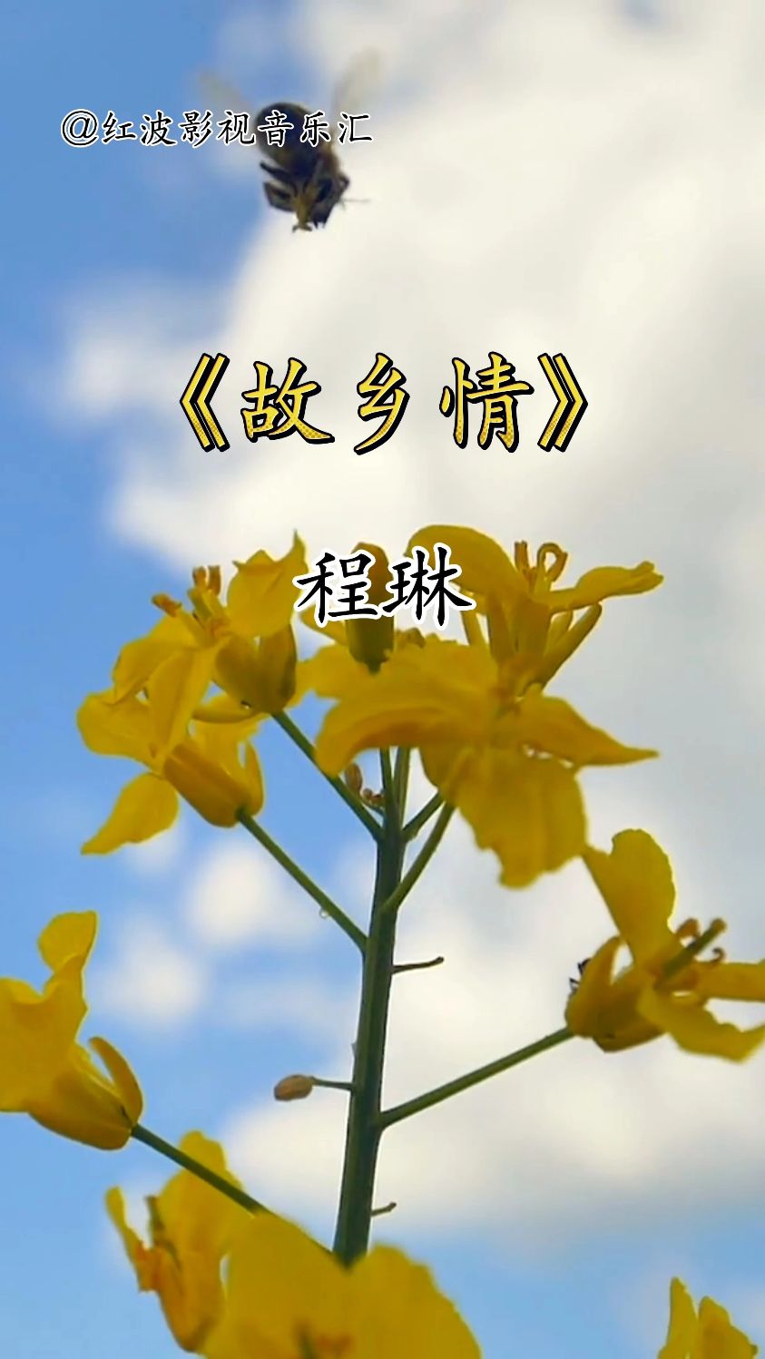 经典音乐故乡情演唱程琳