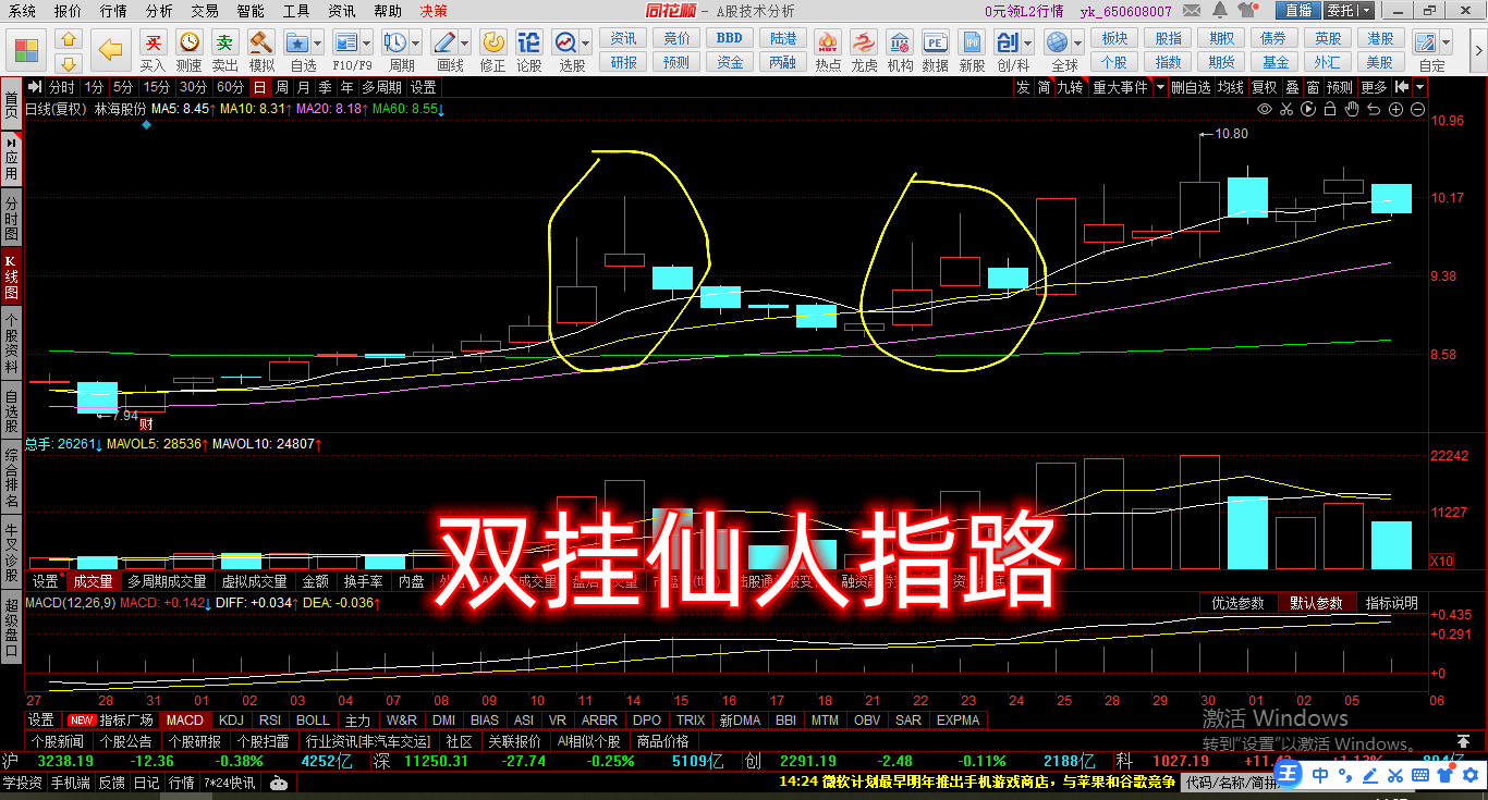 加强版仙人指路双挂仙人指路,变盘仙人指路