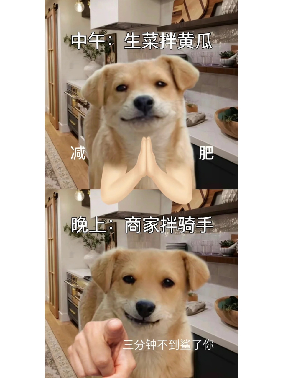 内容过于真实!是不是正在减肥的你#内容过于真实# #减肥