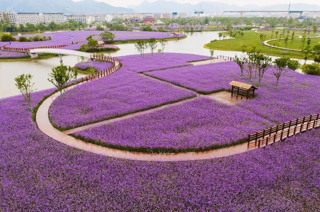 溫嶺新城·雲樾天境丨鮮氧 公園裡散發出胺多酚