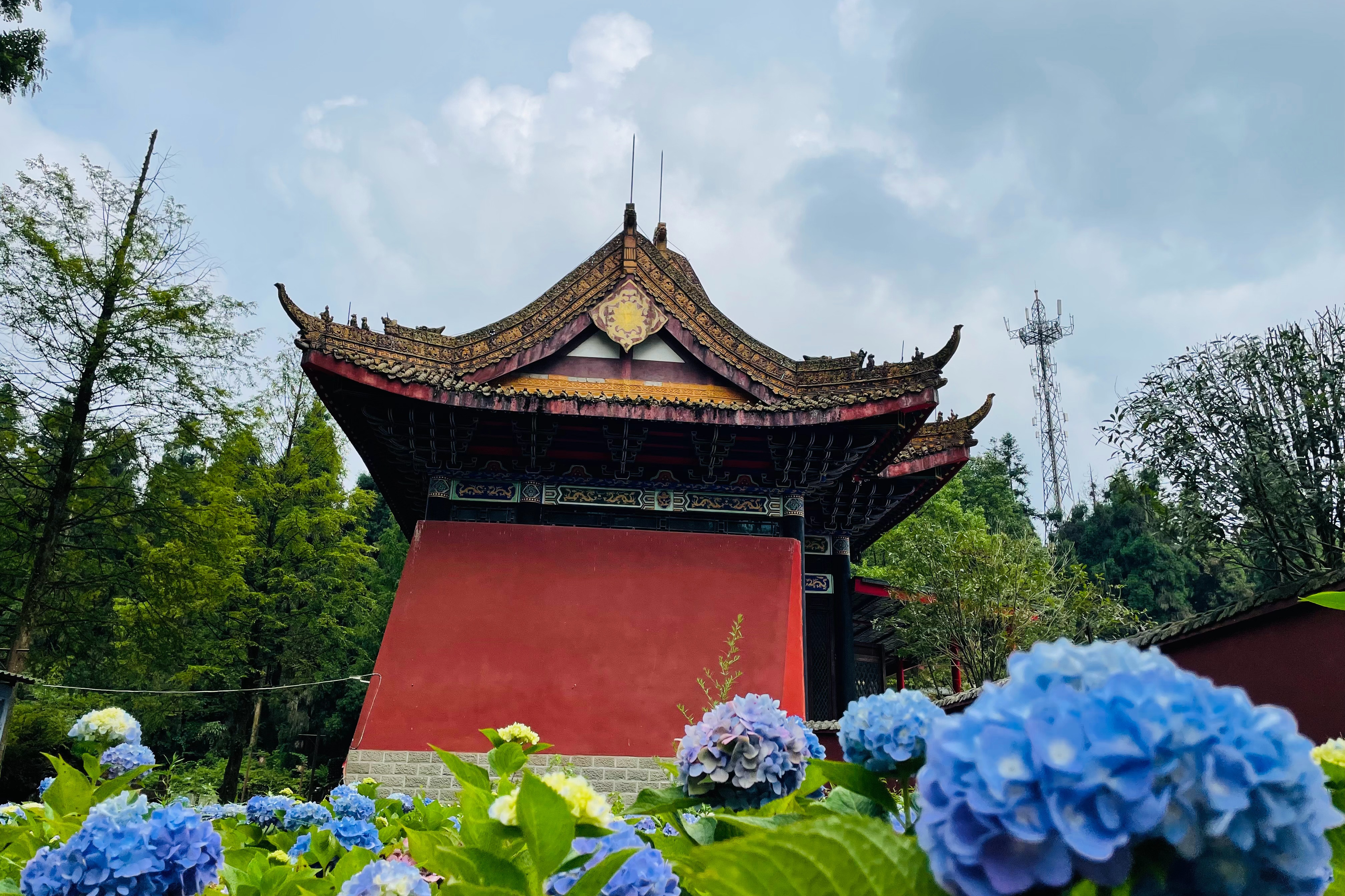 成都一4a级景区被吐槽,为四川大熊猫栖息地,网友:门票不值54元
