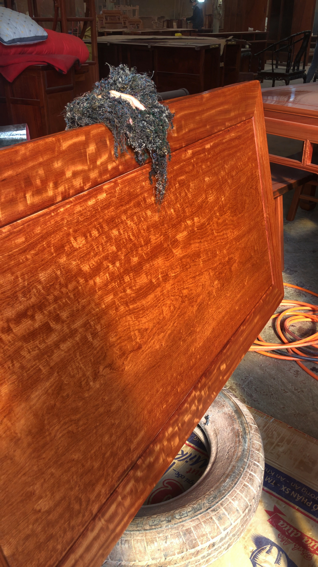 阳光下的大果紫檀水波纹荧光感满满漂亮