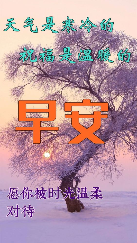 又是新的一天,虽然气温很低,但是今天会有太阳!也许