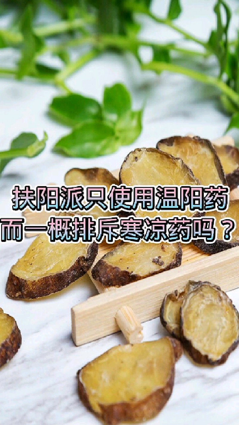 扶阳派只使用温阳药而一概排斥寒凉药吗?