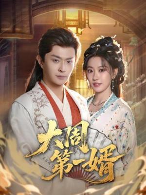 大周第一婿
