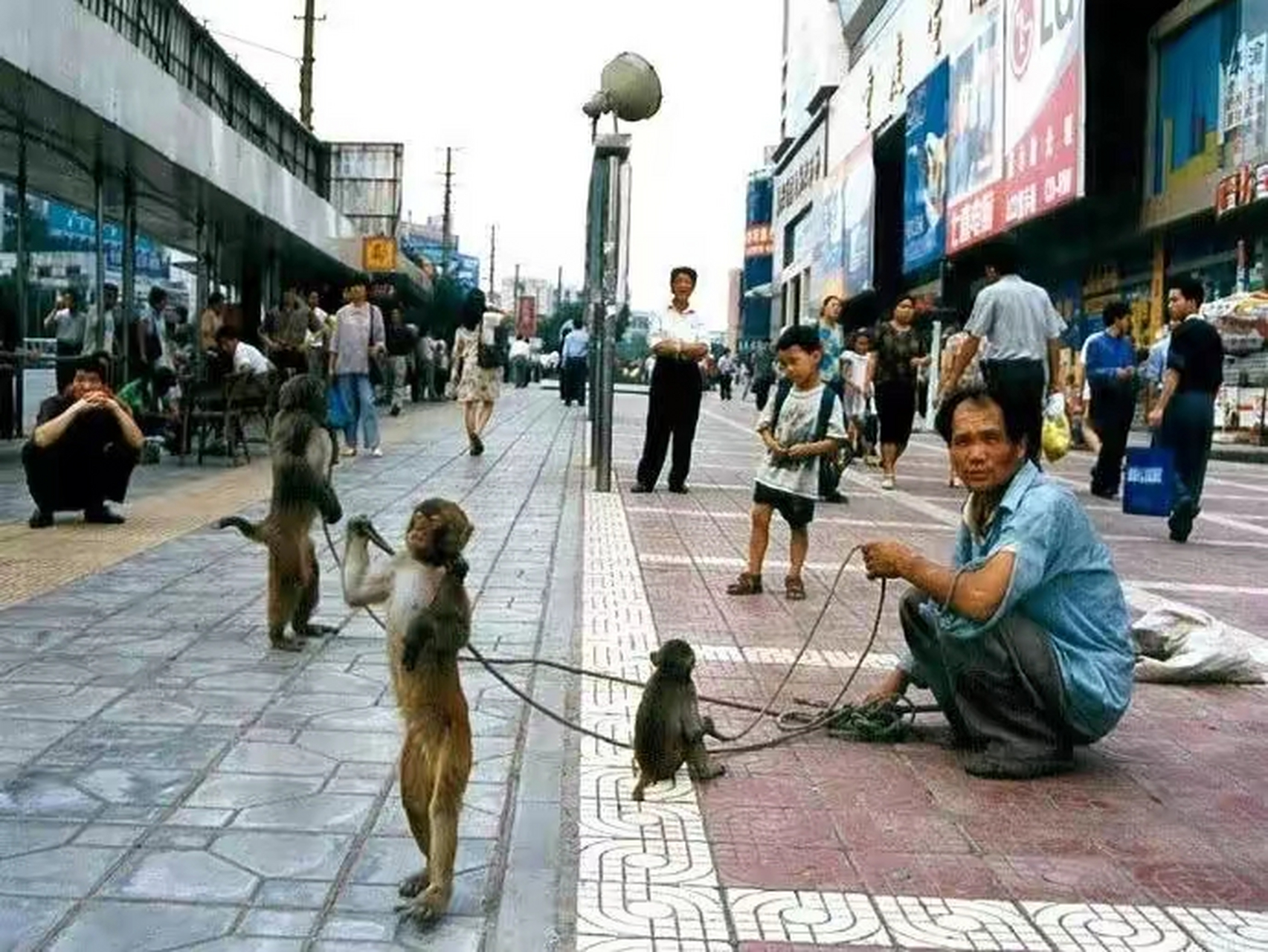 重庆棒棒老照片图片