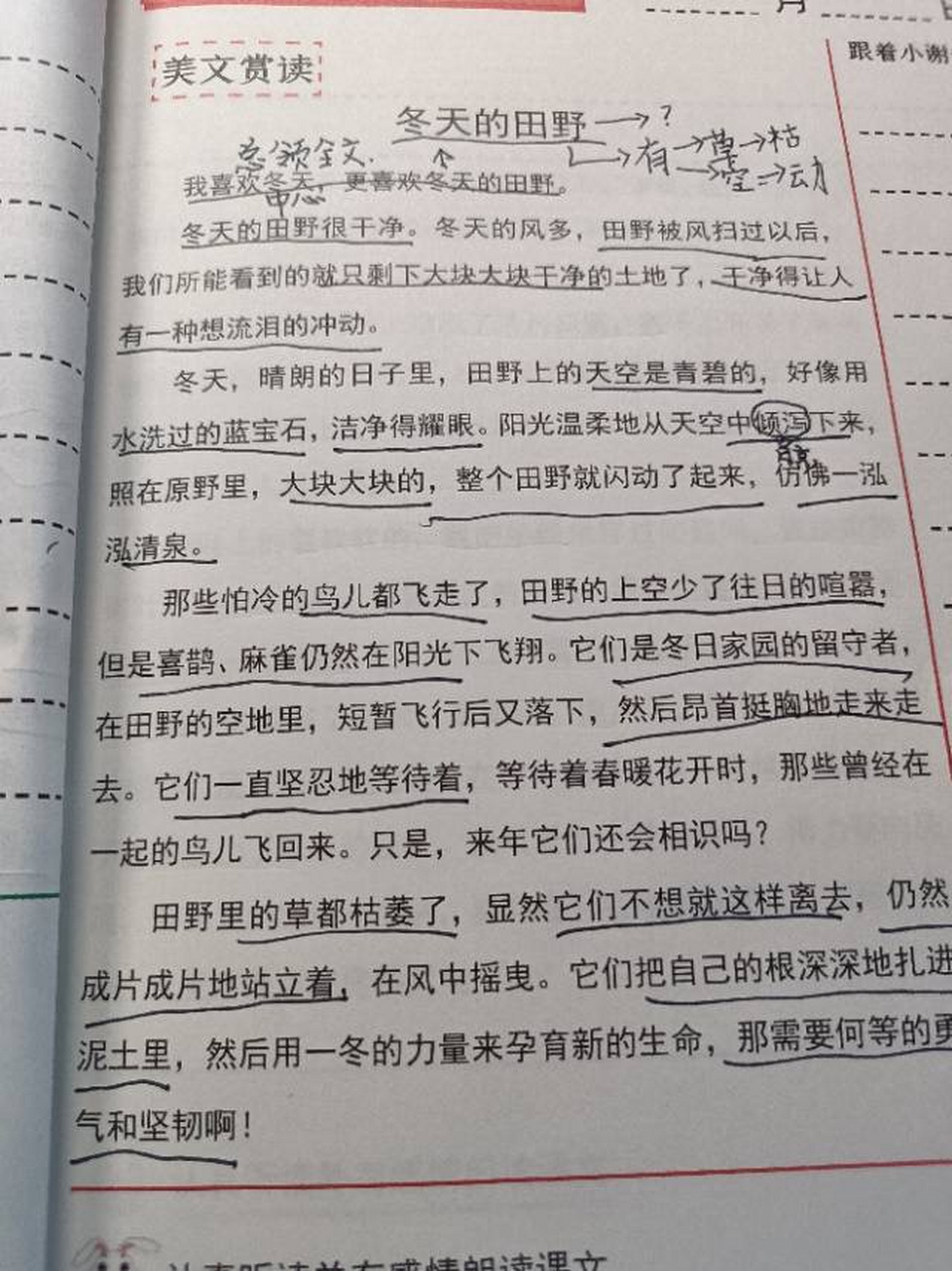 深圳一個7歲的孩子,詞彙量達到7000,人家不單單是語文考試很好,人家