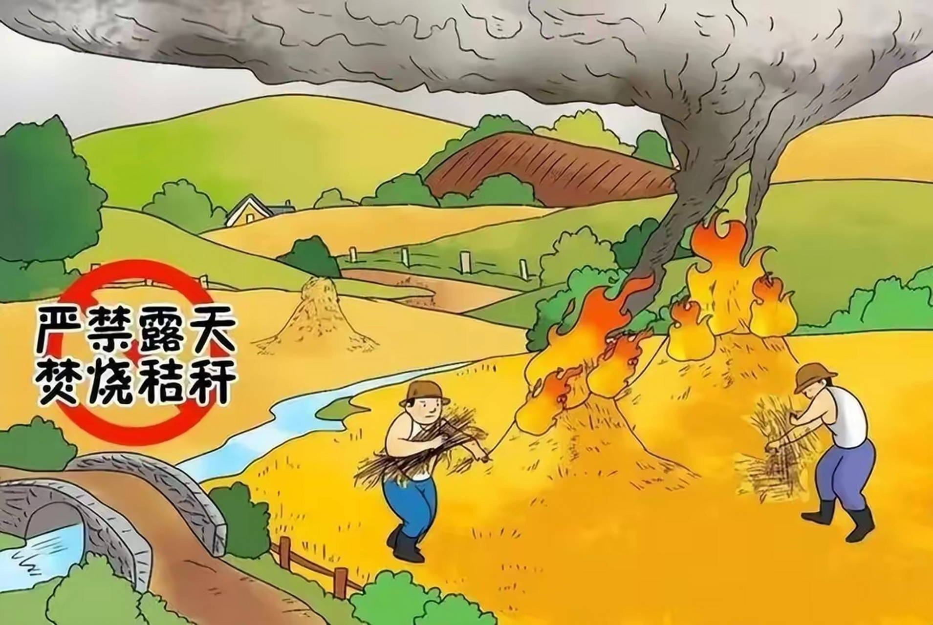 发达国家允许焚烧秸秆,为什么中国不允许?是不是上了别人的当?
