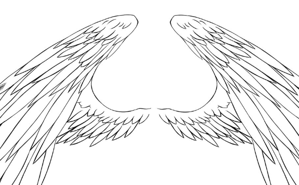 不再羡慕别人,跟着教程学会画出帅气翅膀,你也可以