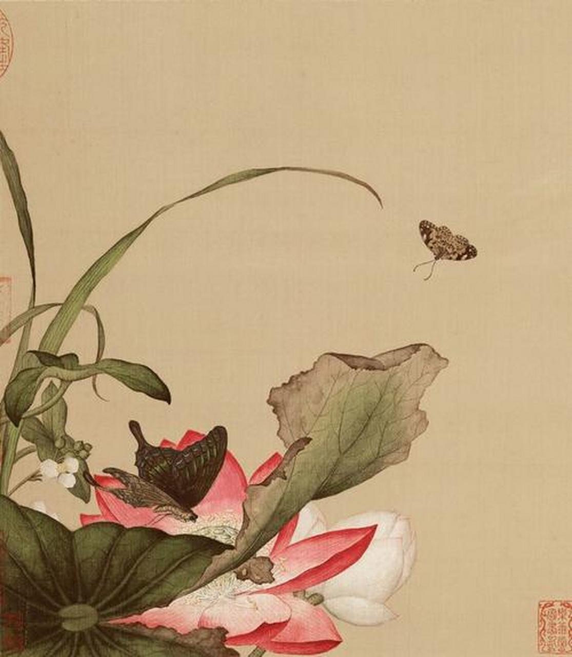 中国花鸟画中的名花卉——莲花【十九】历代名家作品|清代/谢荪,余穉