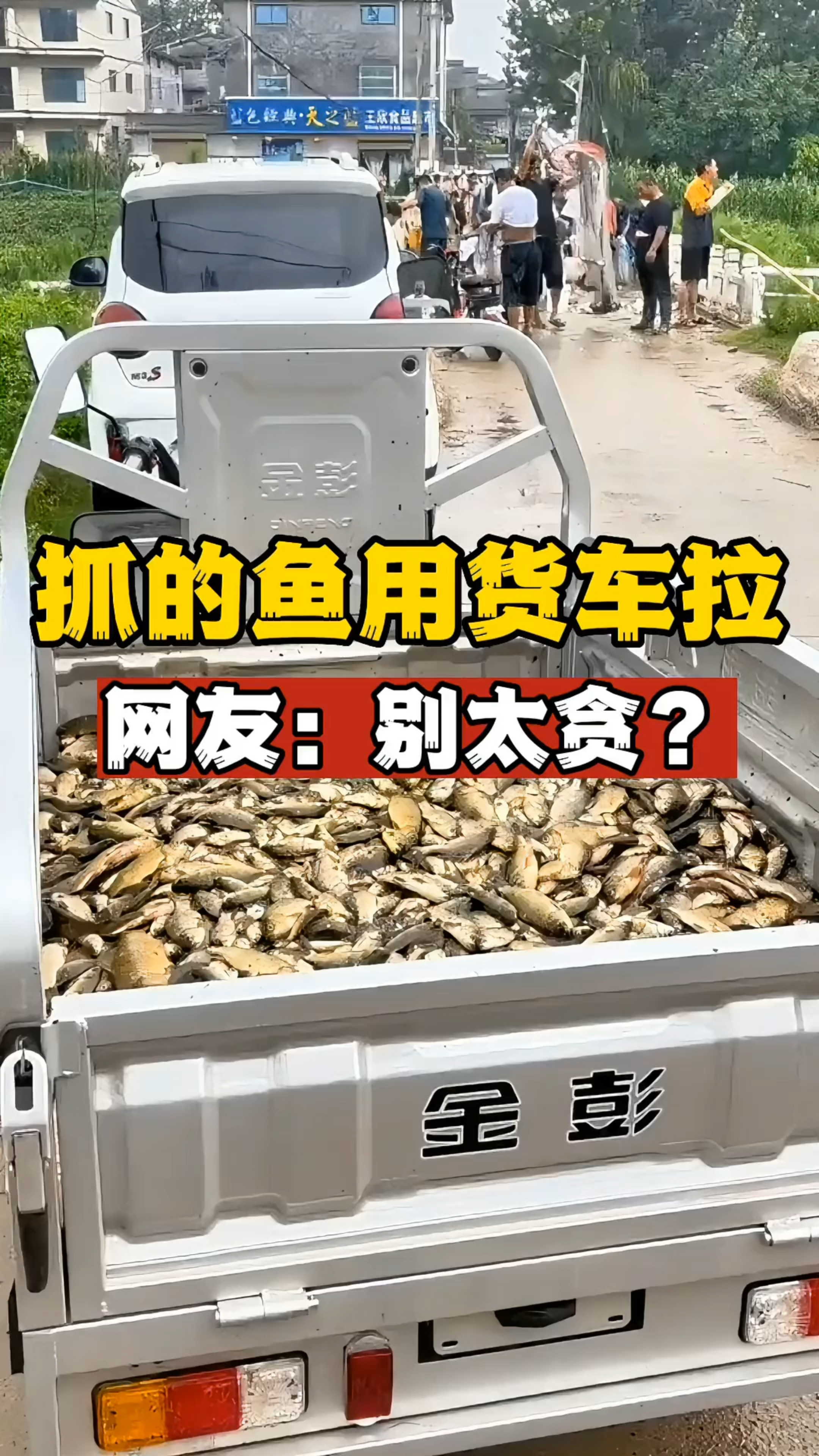 不起眼的小河沟鱼太多了抓的鱼用货车拉全是土鲫鱼网友别太贪