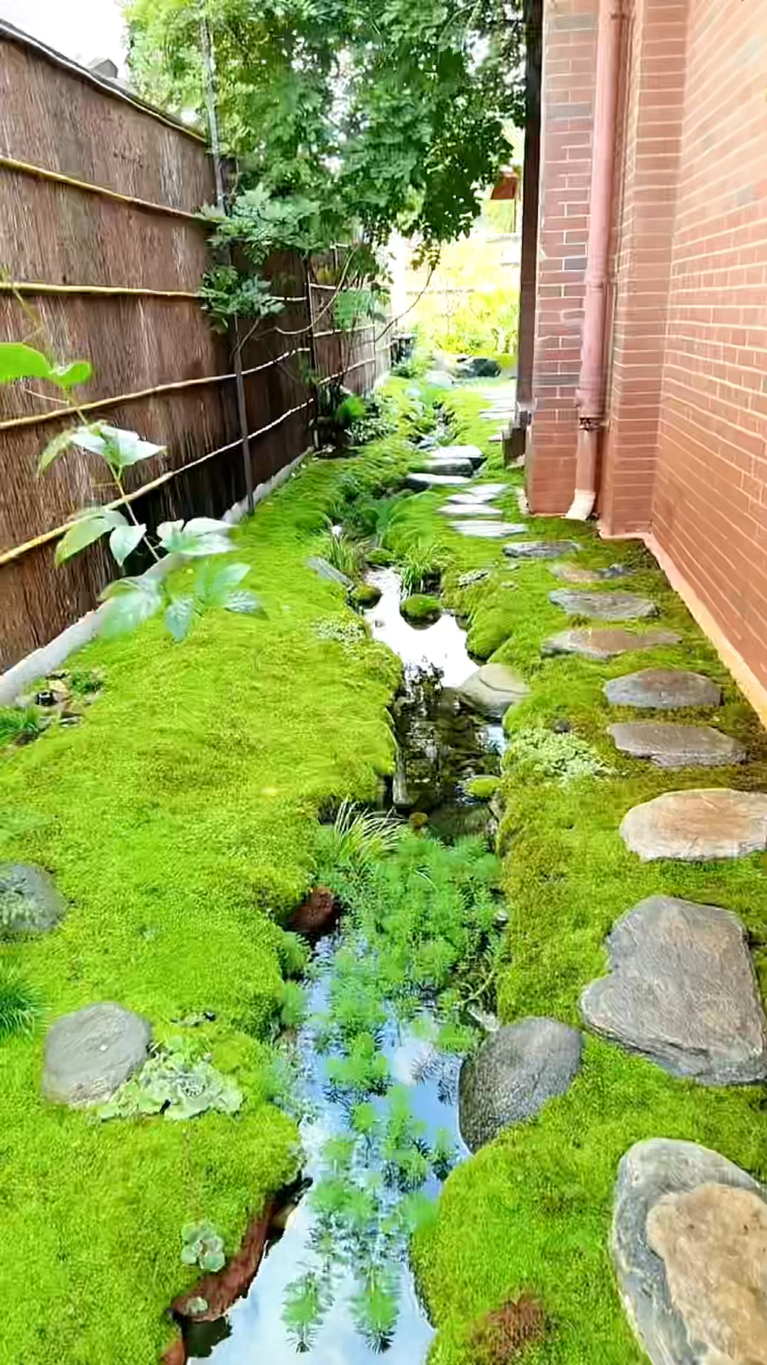 庭院溪流鱼池景观