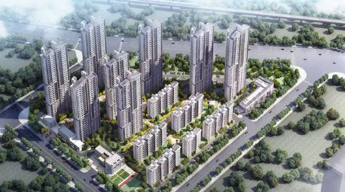 实地周口九里香堤闻所未闻,见所未见