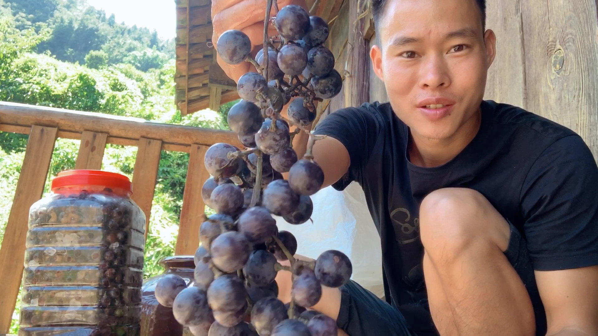 教你自酿葡萄酒,简单方法一看就会,比你买的红酒还好喝!