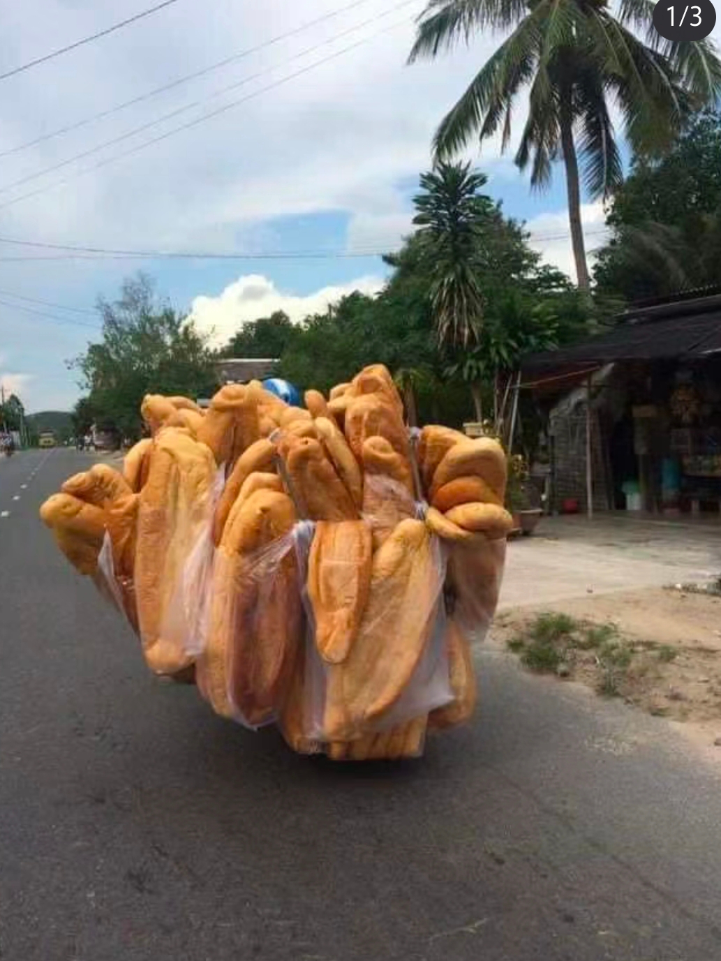 这一根油条,够吃好几天了吧