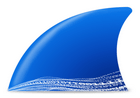 网络抓包工具 Wireshark v4.4.6 中文便携版-Puresys纯净系统-软件下载