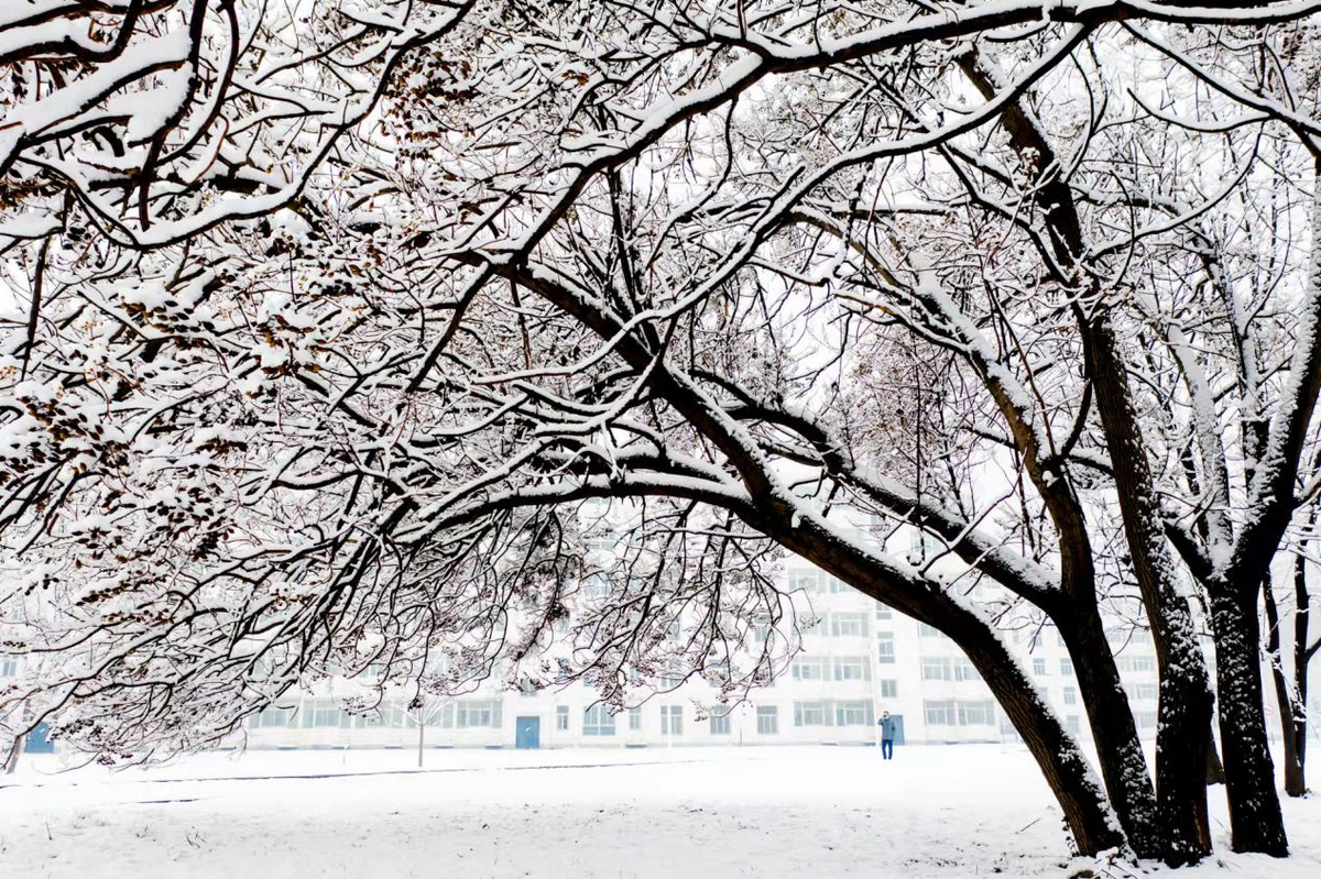 长春理工大学雪景图片