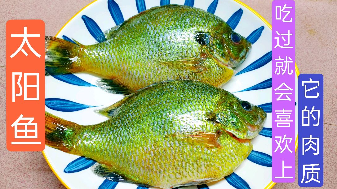 太阳鱼吃过没?它的肉质紧实细腻,骨头少,就是有点小贵