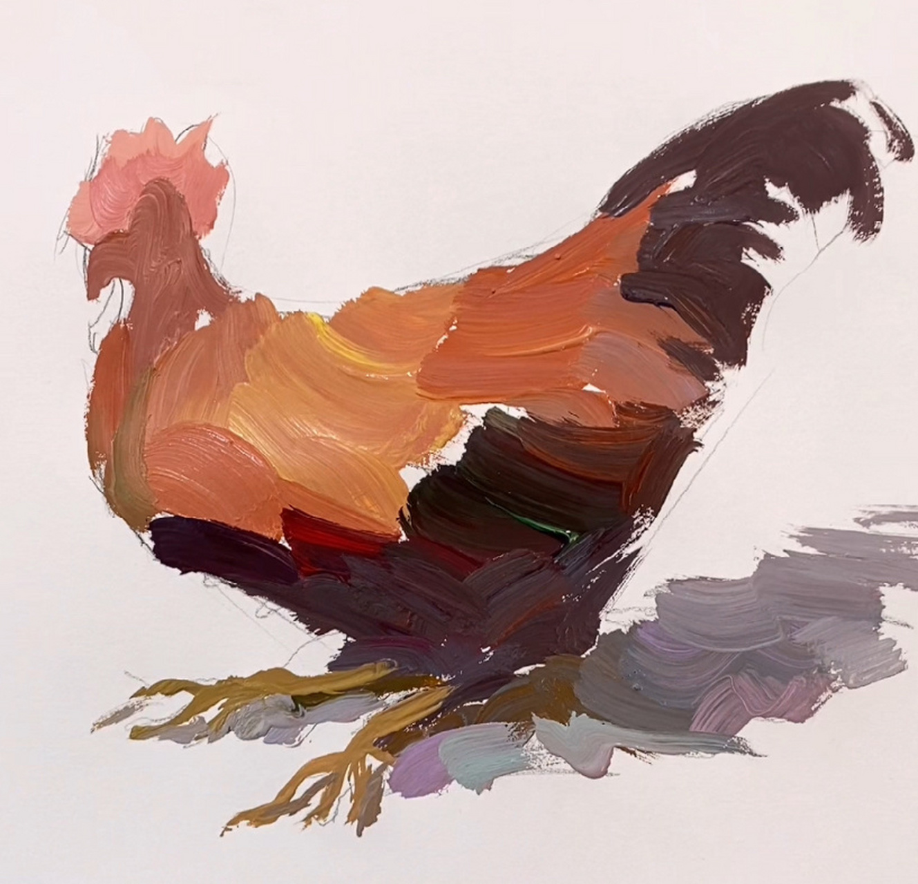 水粉画(大公鸡)详细作画步骤分享,美术生看过来!