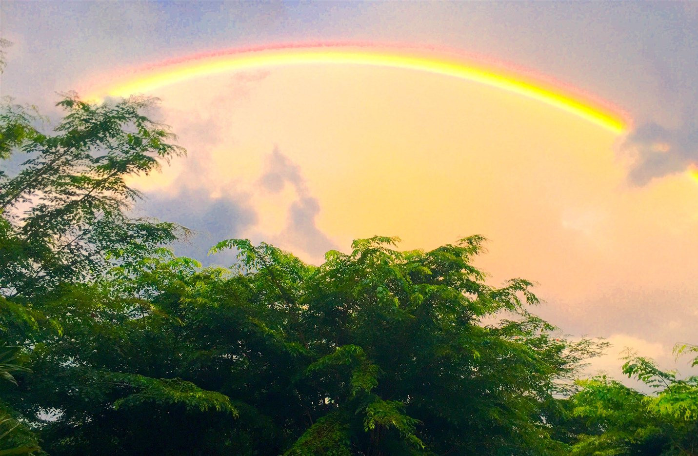 雨后天晴,清新脱俗