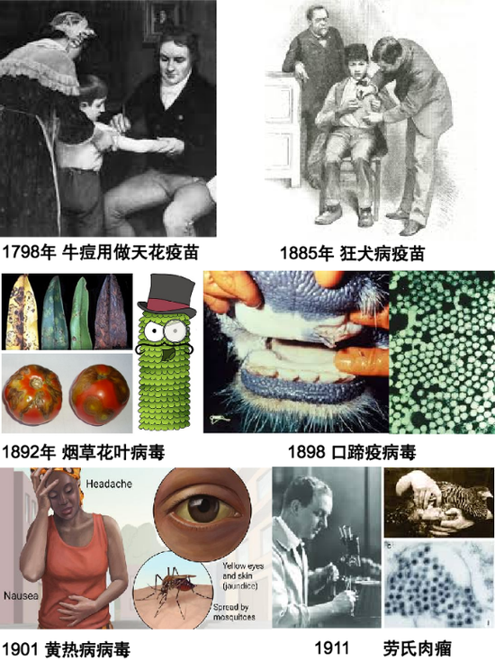 图1。 病毒学发展的一些重要节点(来源:wikipedia等)