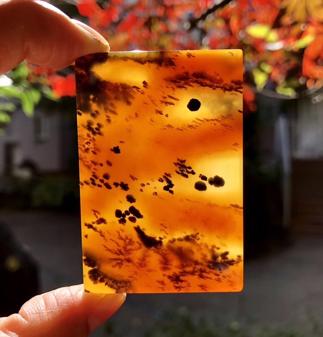 黄龙玉水草花-玉石中的水墨画