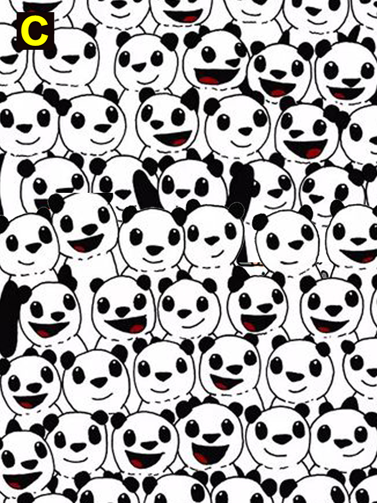 考眼力啦!你能30秒在熊猫里找出足球吗?