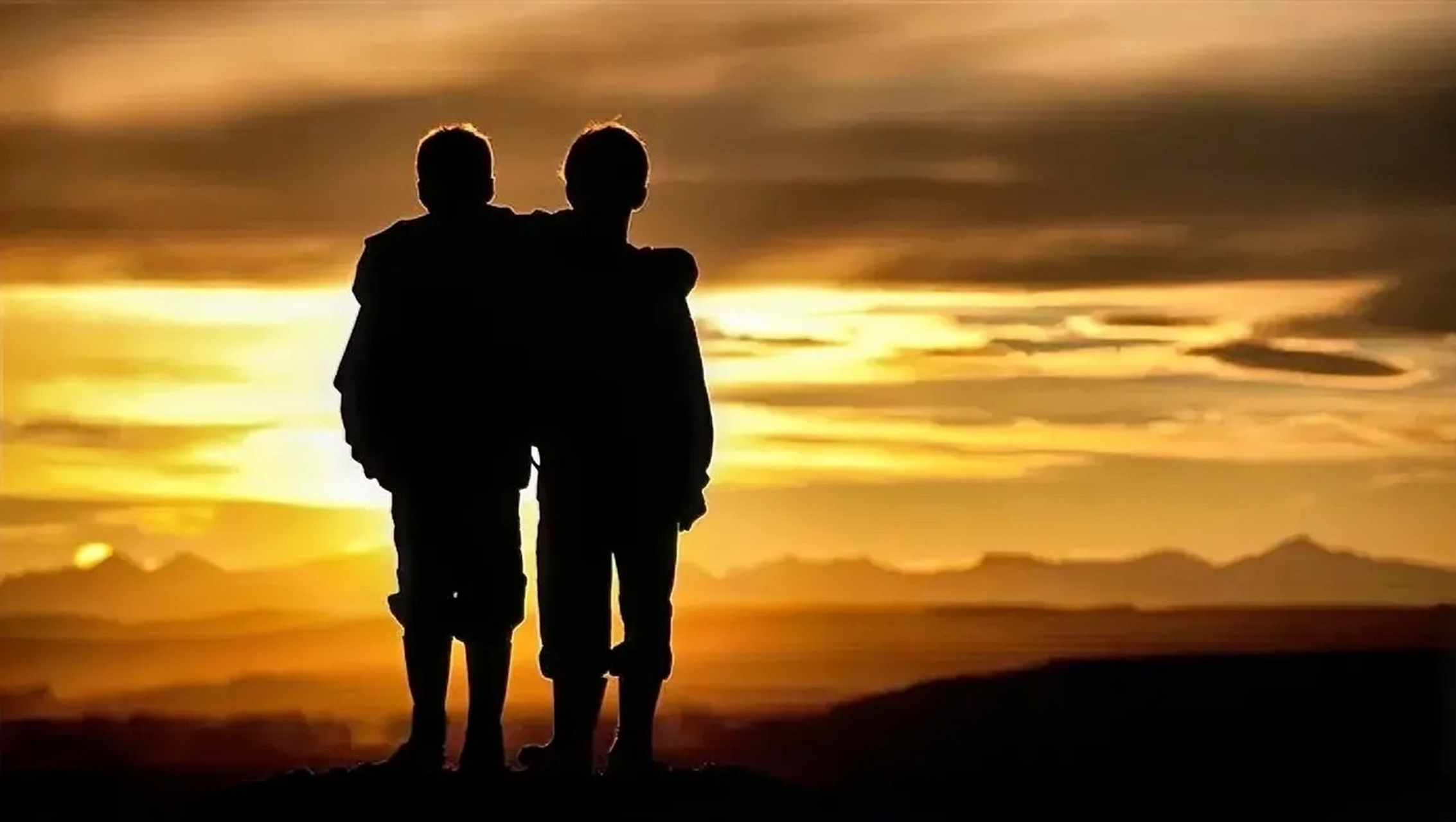 兄弟情深抵不过枕边风吹.