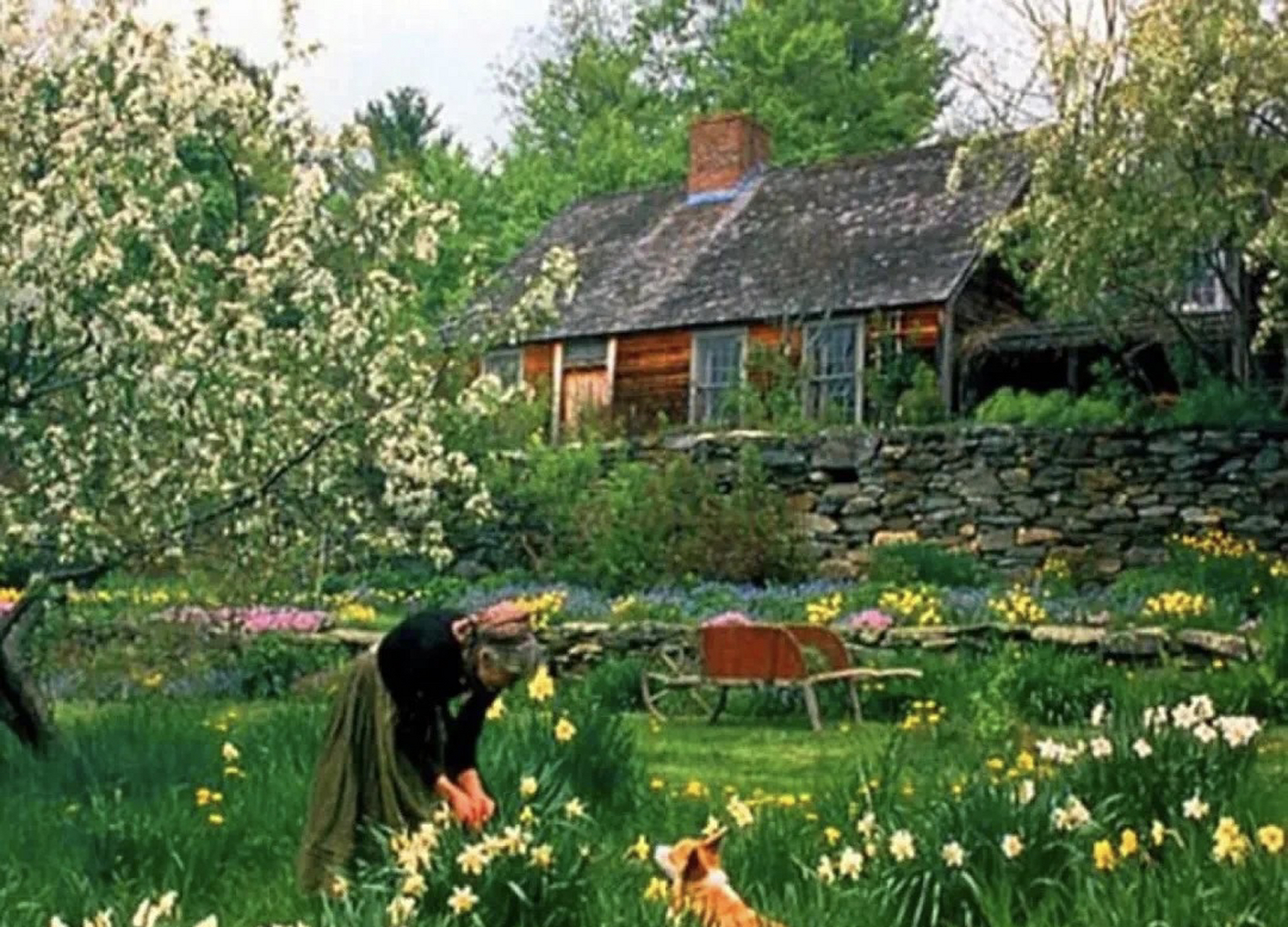 网络上流传了好多对迷一般的塔莎杜朵奶奶田园生活解读的版本