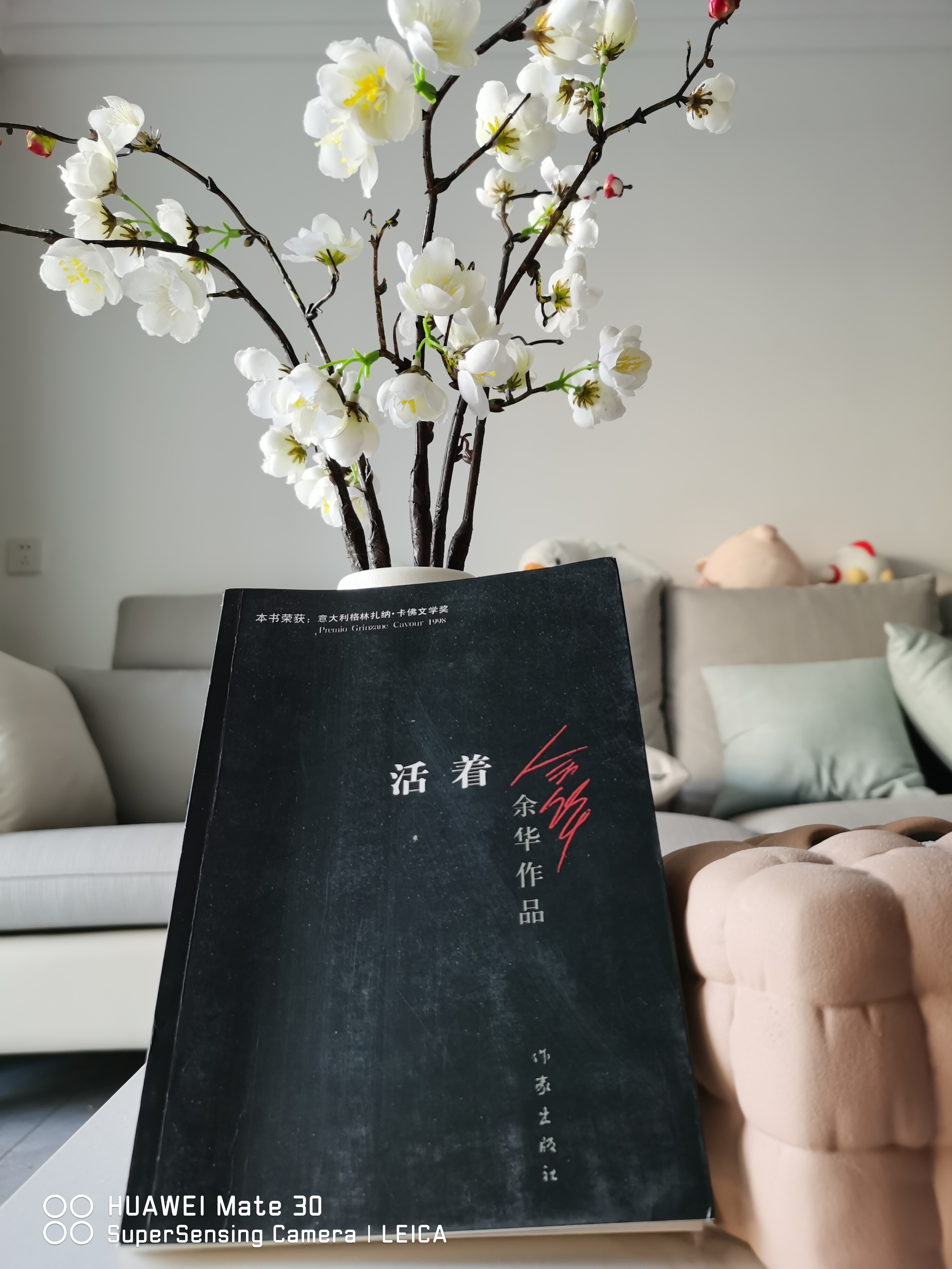 《活着》富贵的一生