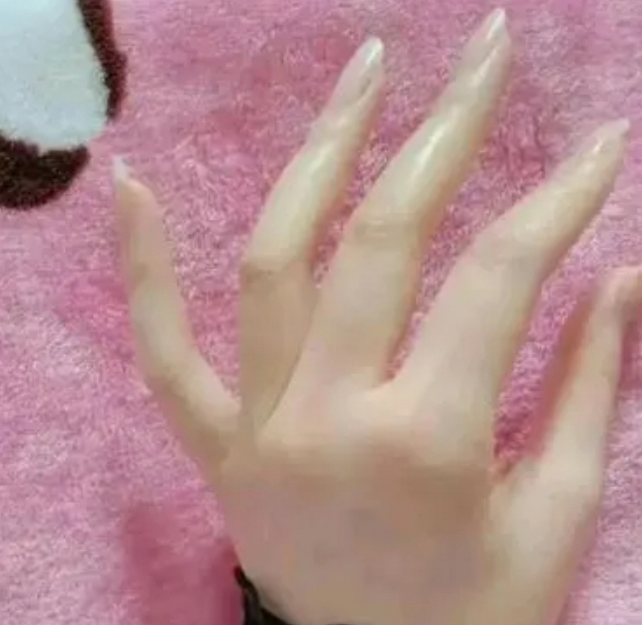 "指如削葱根"说的就是我这样的吧!让我过年回家干活是不可能的