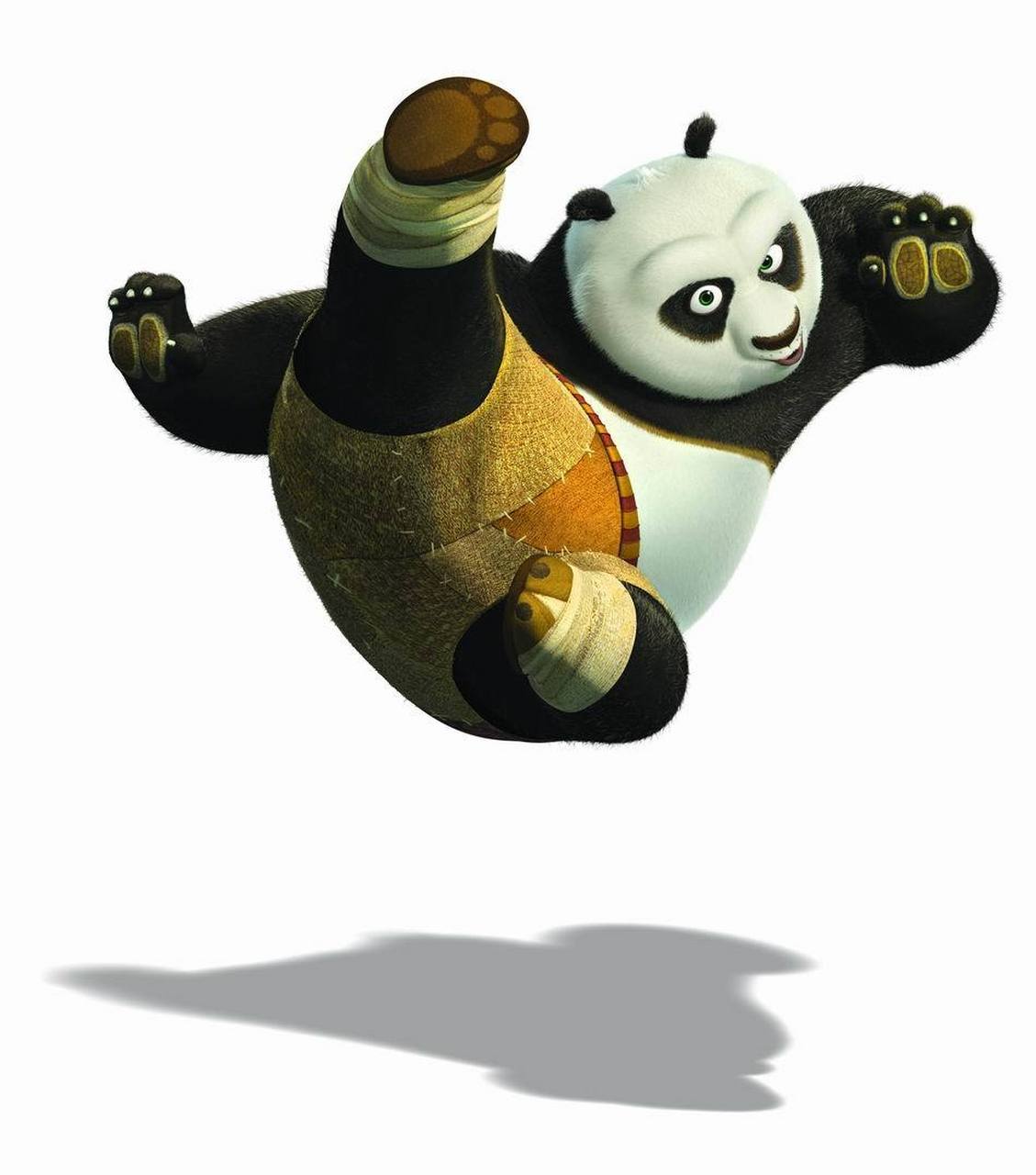 原来功夫熊猫没有骗我们,大熊猫是会武功的.