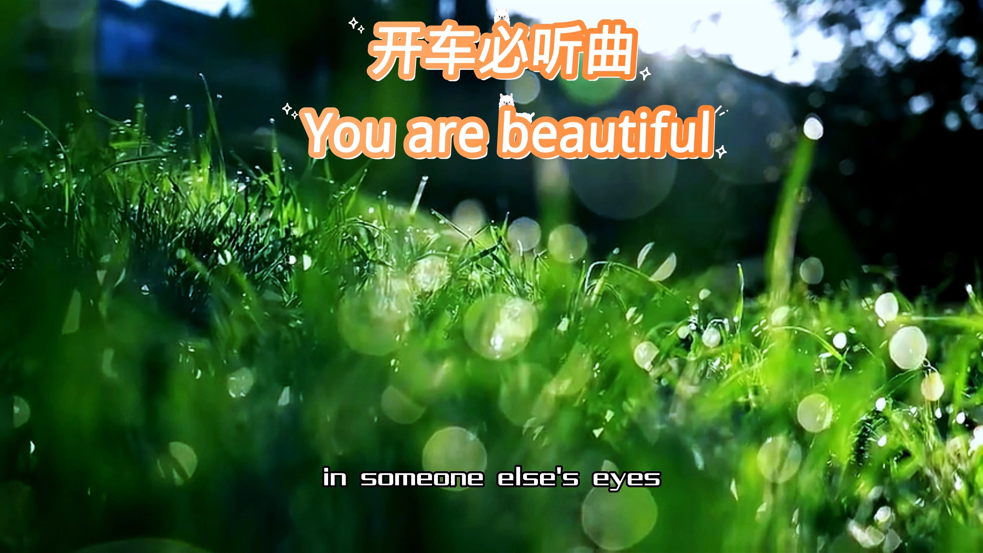 [图]开车必听曲 You are beautiful