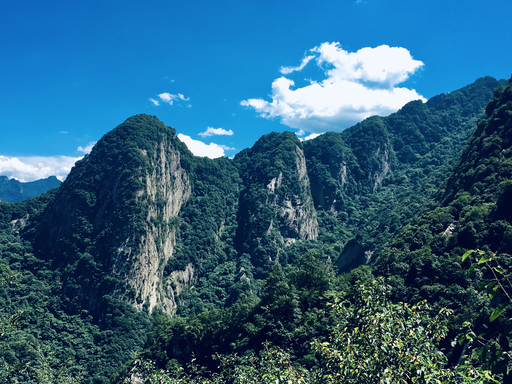万峰青翠润山水, 思绪激荡抒胸意.#秦岭# #西安本地