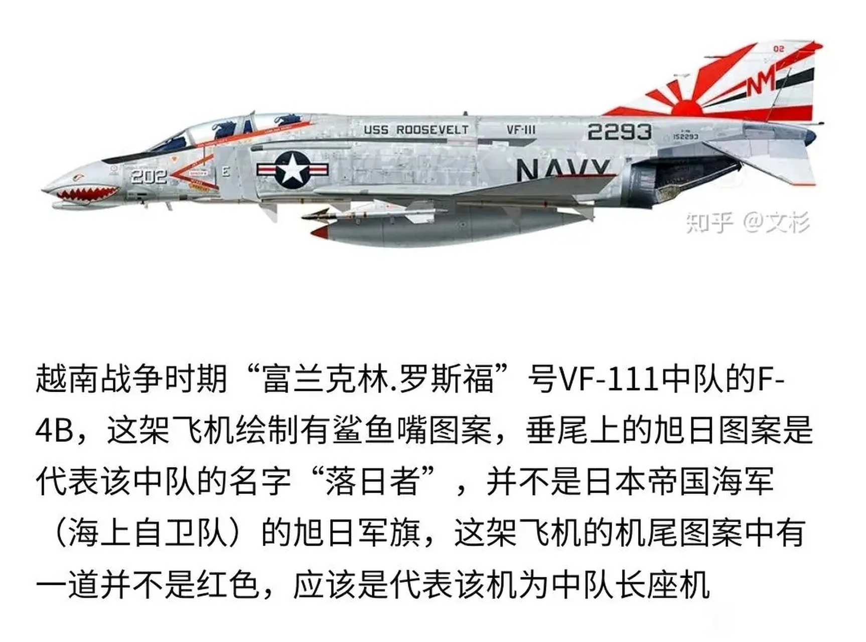 美国海军的落日中队这个飞机垂尾的涂装看着真像是旭日旗,让了解日军