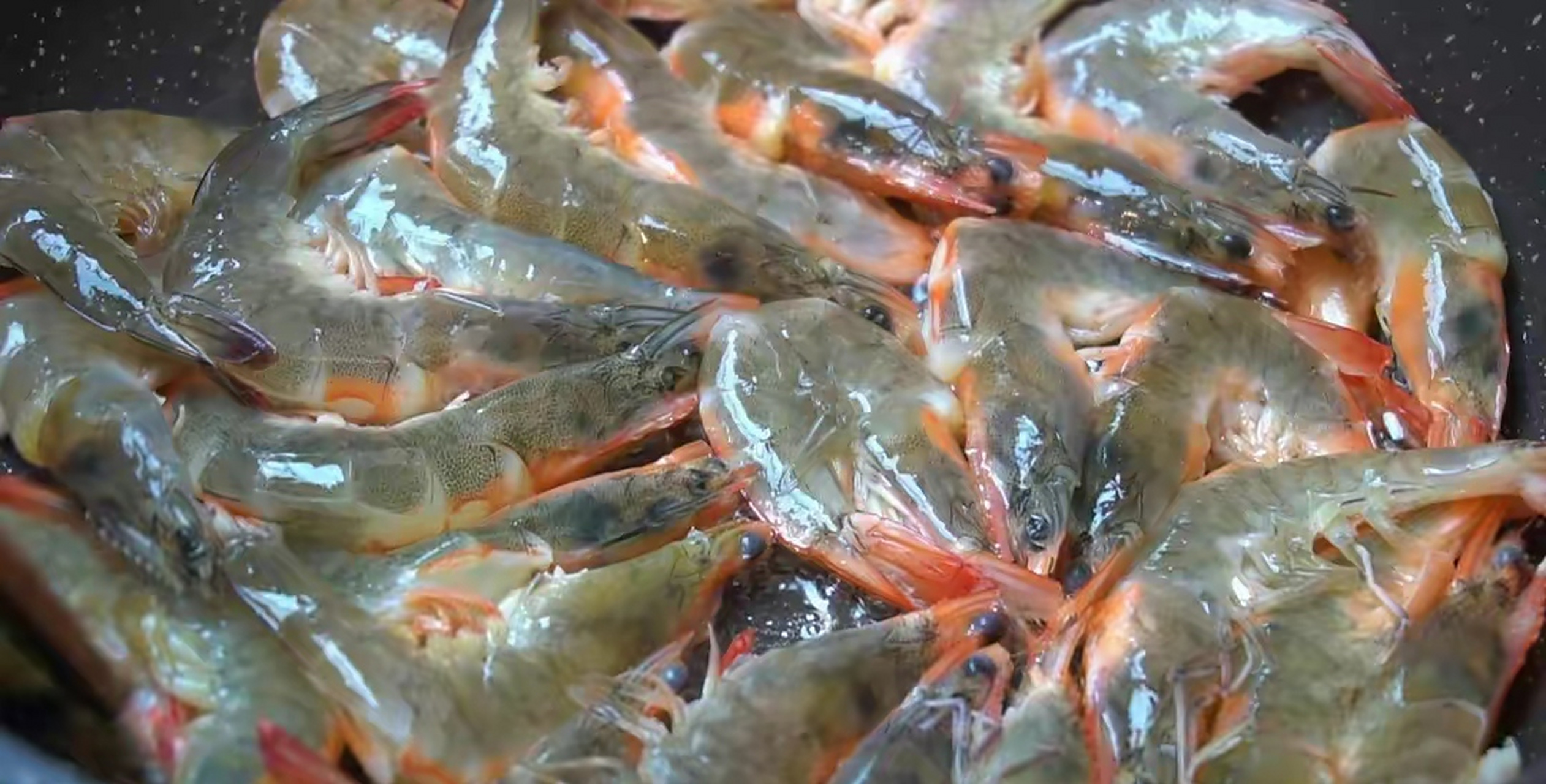 说到吃虾,我总会想起小时候经常跑去小溪里抓虾.