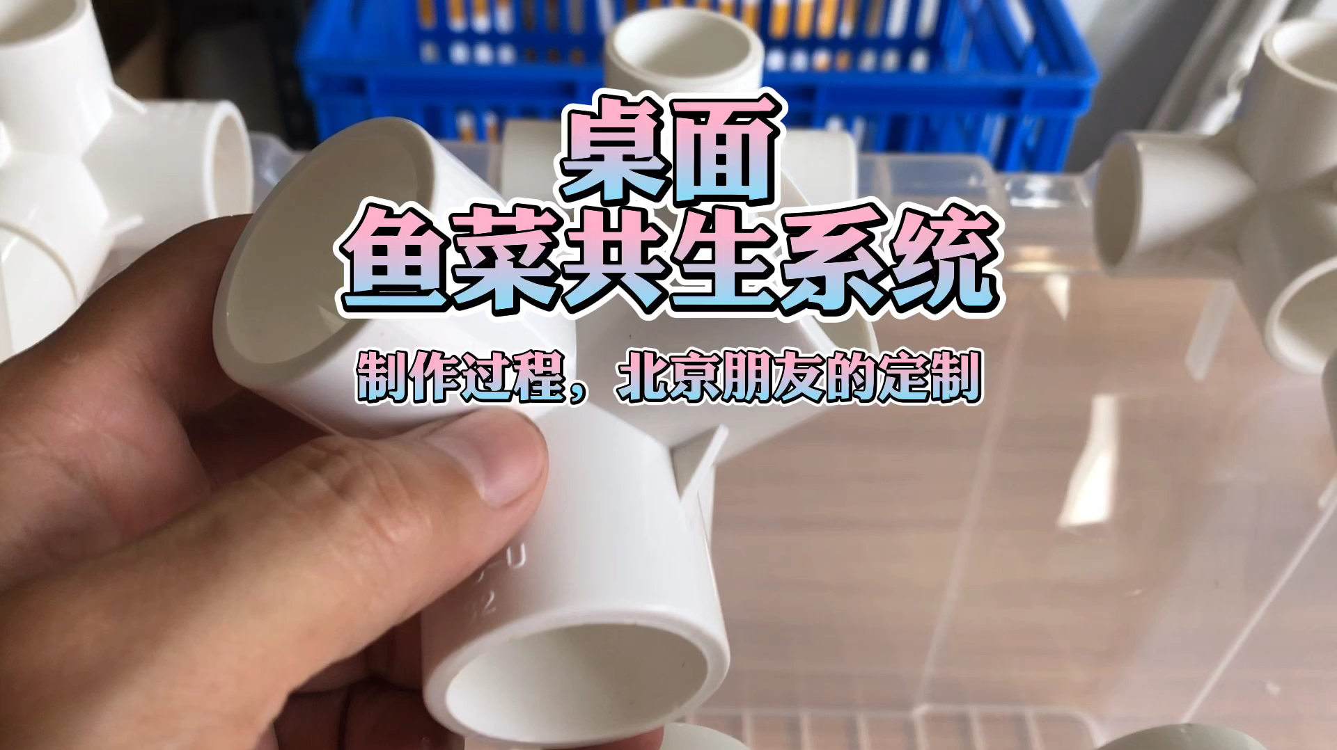 桌面鱼菜共生系统,北京朋友的定制