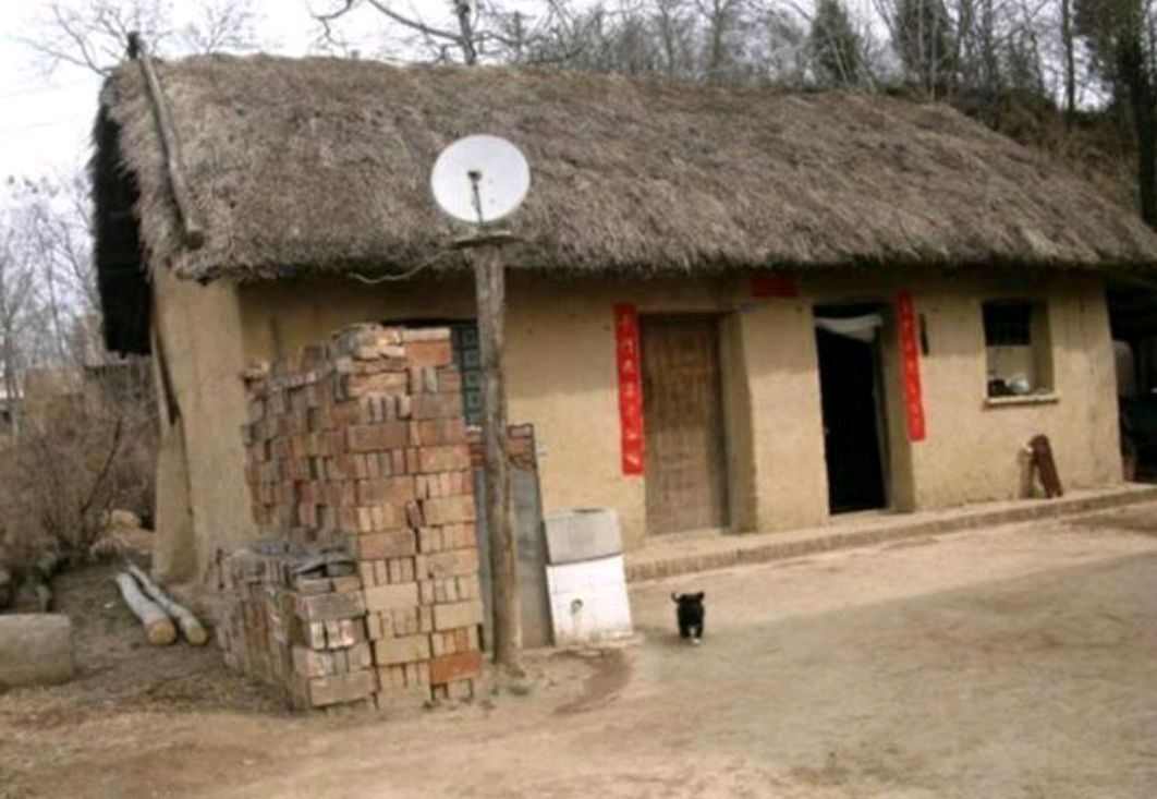 三十多年前抓了一条碗口粗二米多长的大蛇