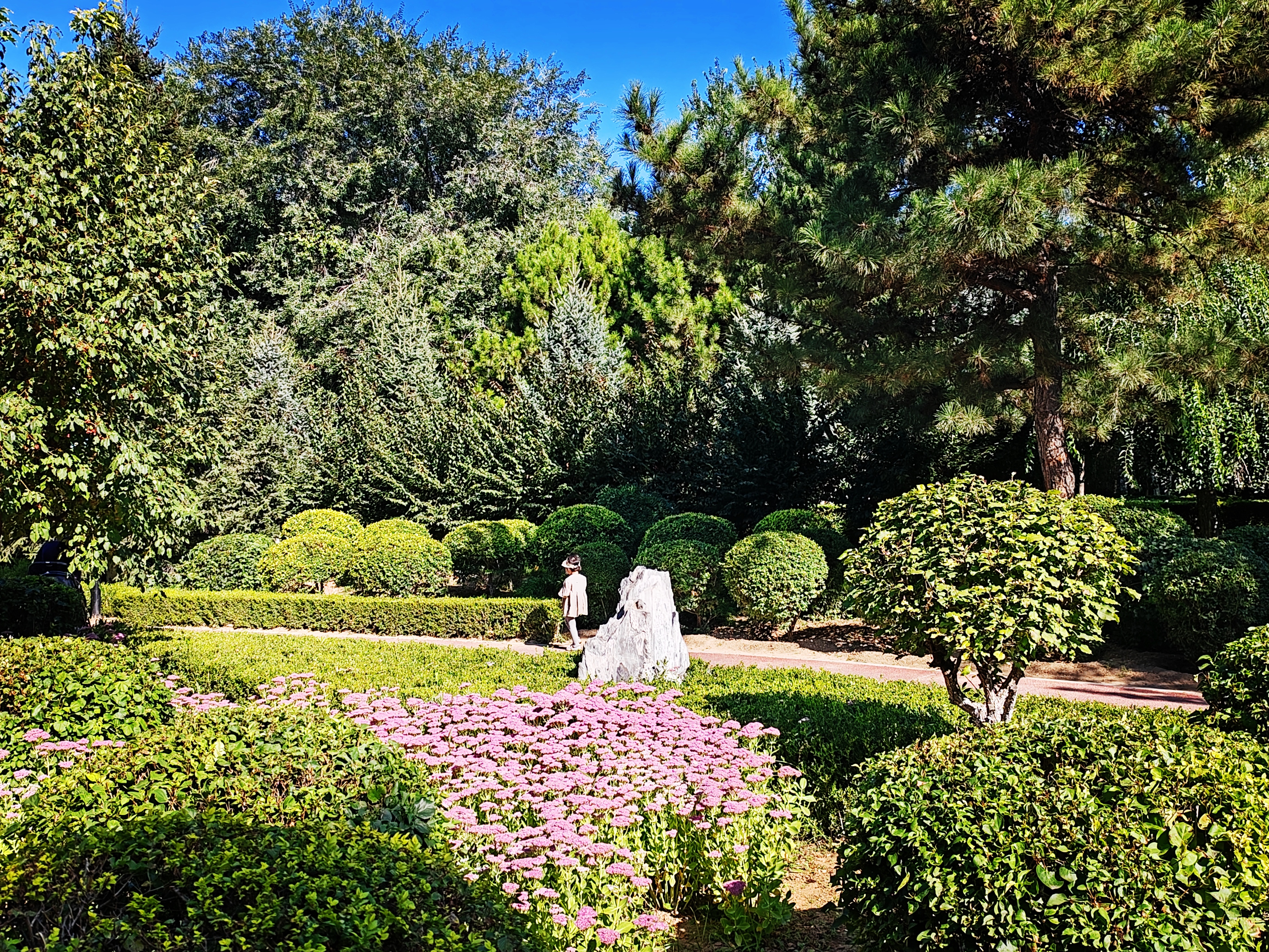 「走走拍拍61内蒙」质朴的赤峰植物园