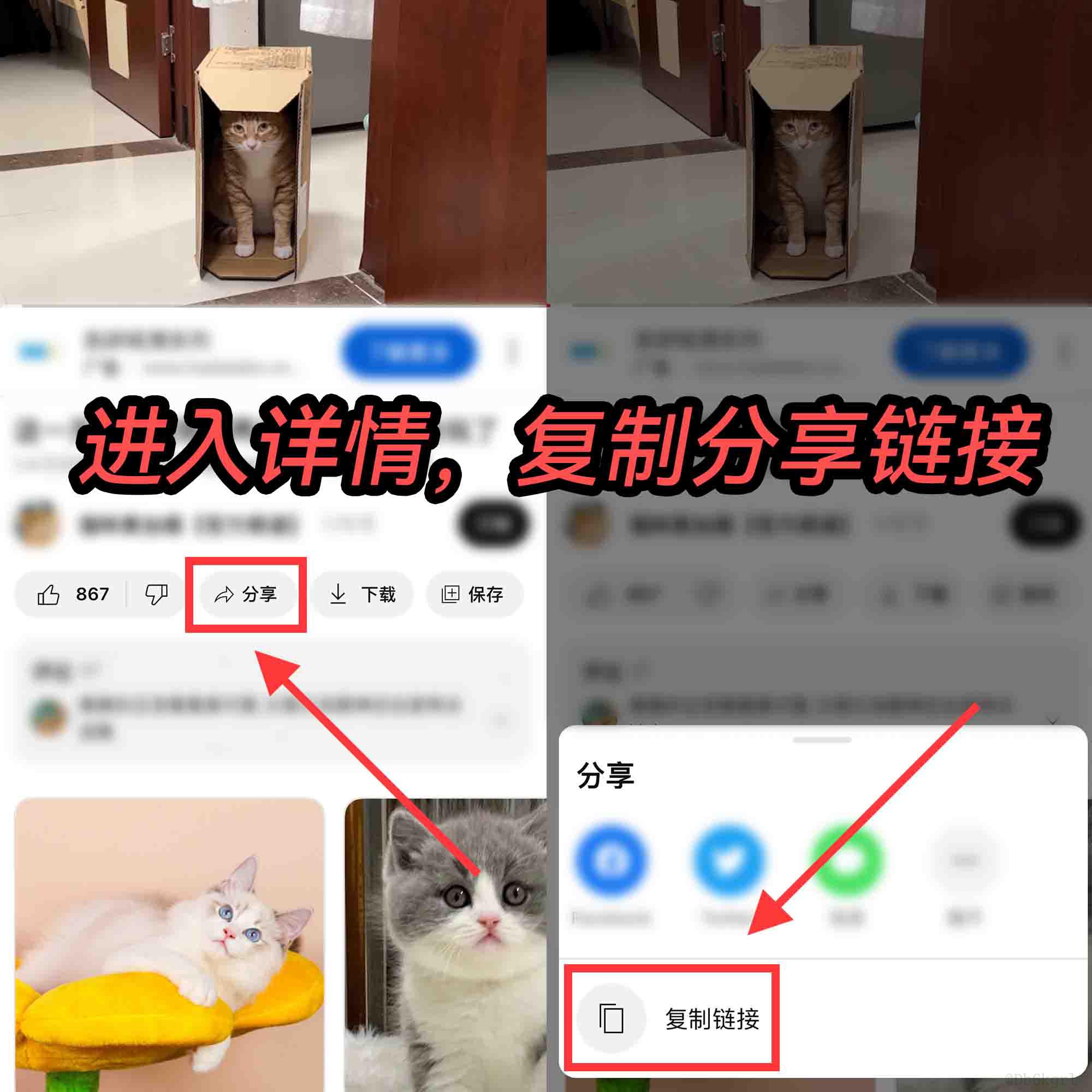 油管无水印视频下载app
