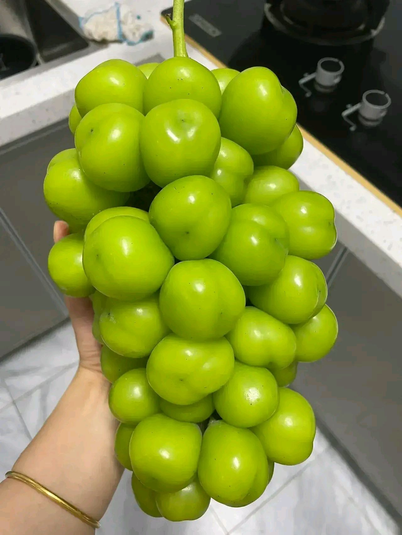 诚惶诚恐的吃了两颗心理说味道真不怎么样还不如巨峰一盘葡萄一盘